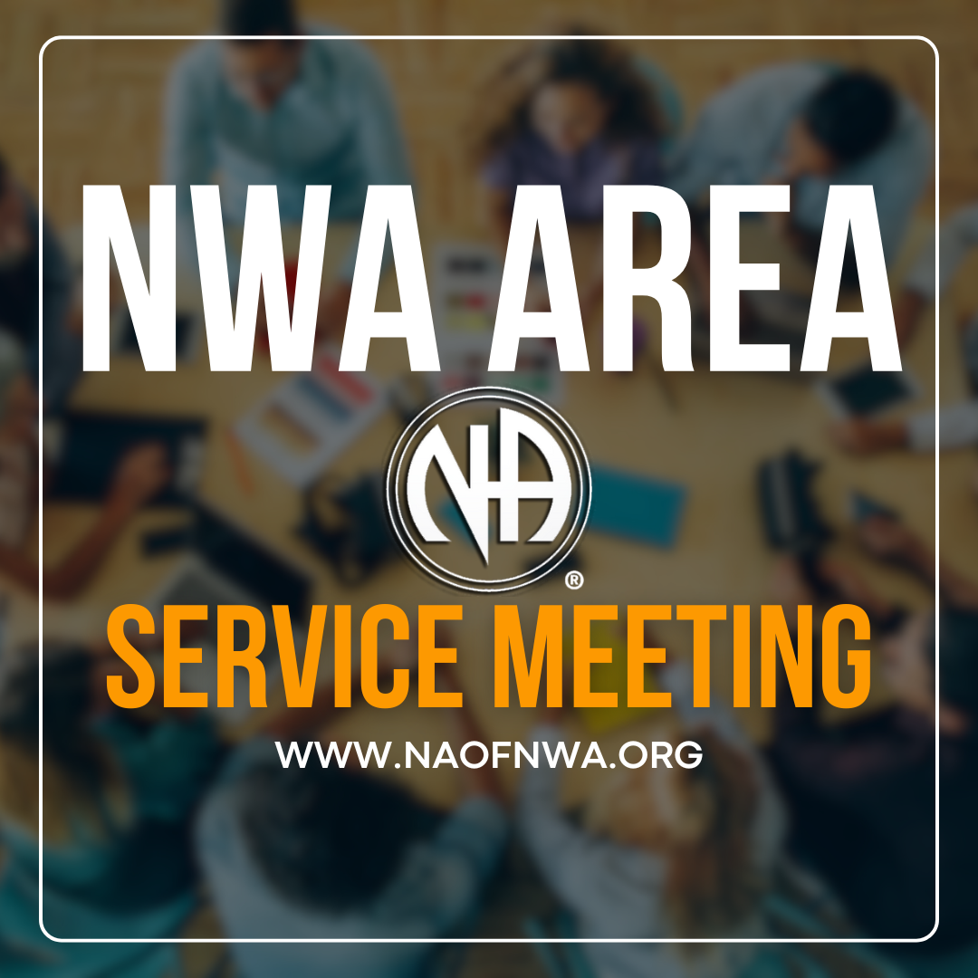 (Springdale) Nov 2024 NWAANA Area Service Committee