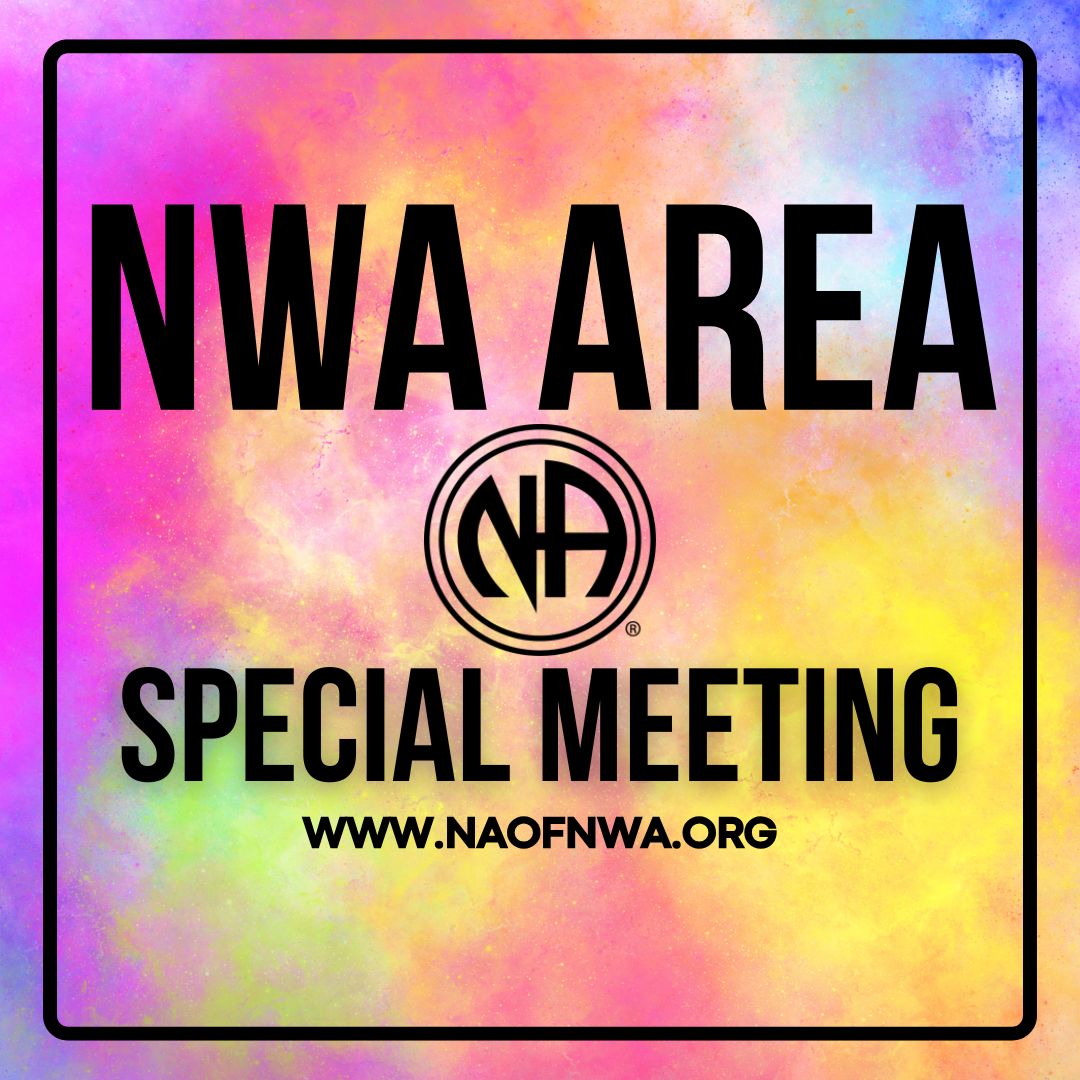 (Virtual) NWA CAR Workshop - Special Meeting